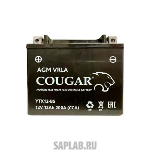 Купить запчасть COUGAR - YTX12BS 